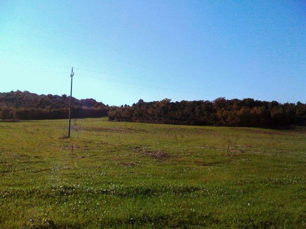  - foto 11