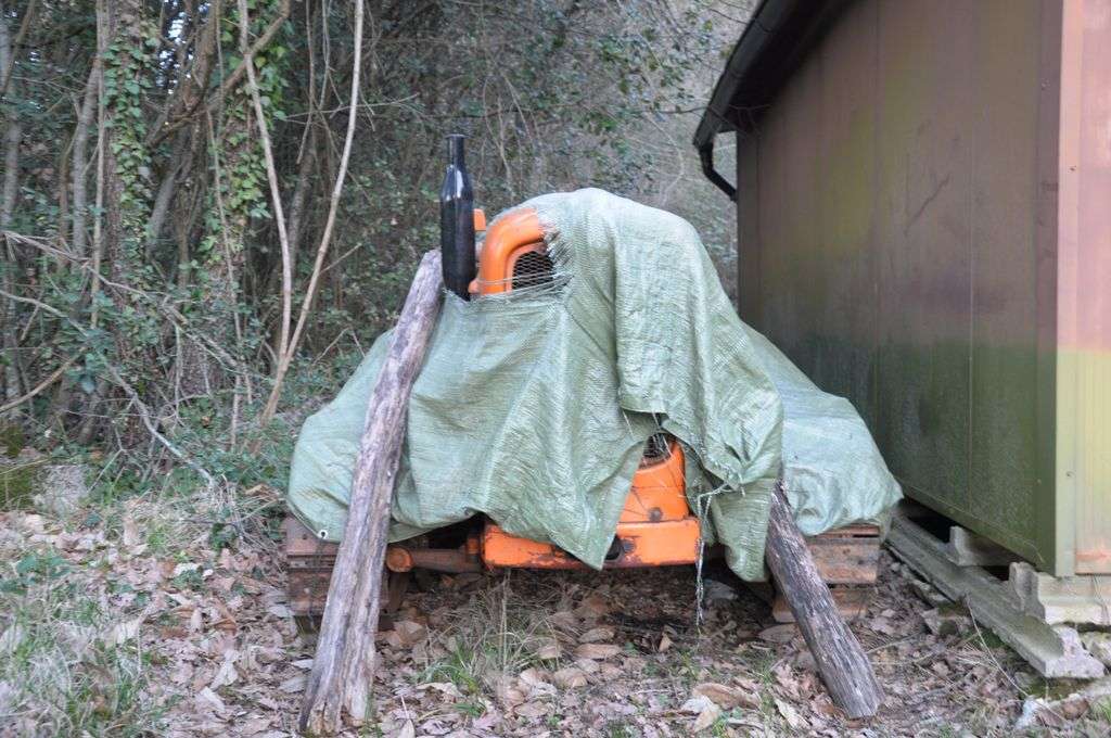 immagine annuncio 11 di 15