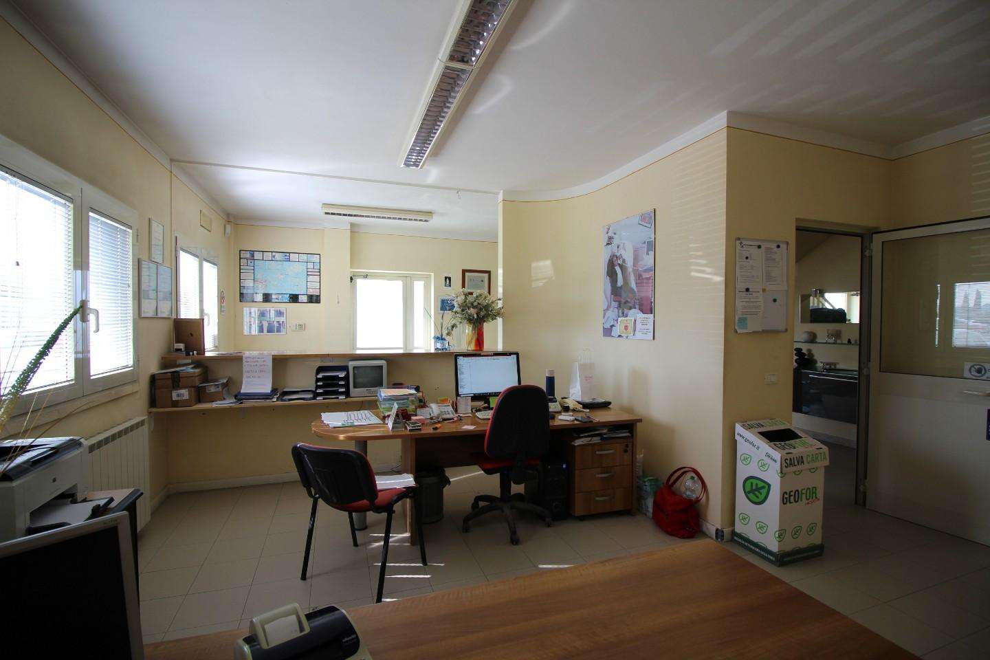 immagine annuncio 5 di 12