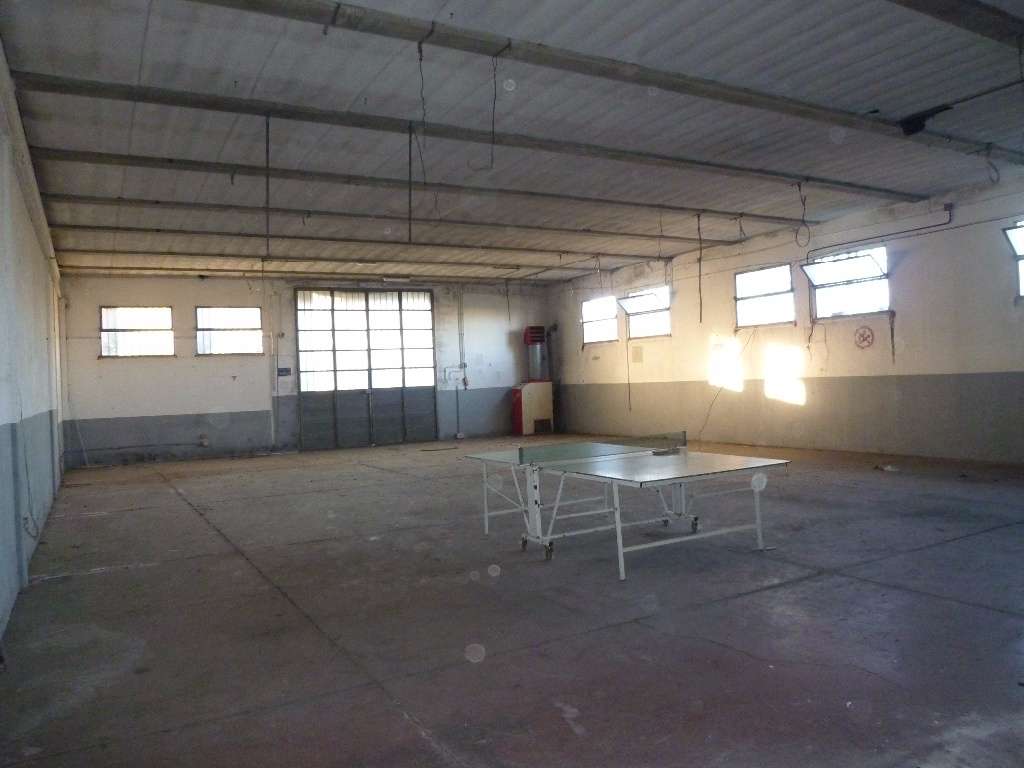immagine annuncio 1 di 13