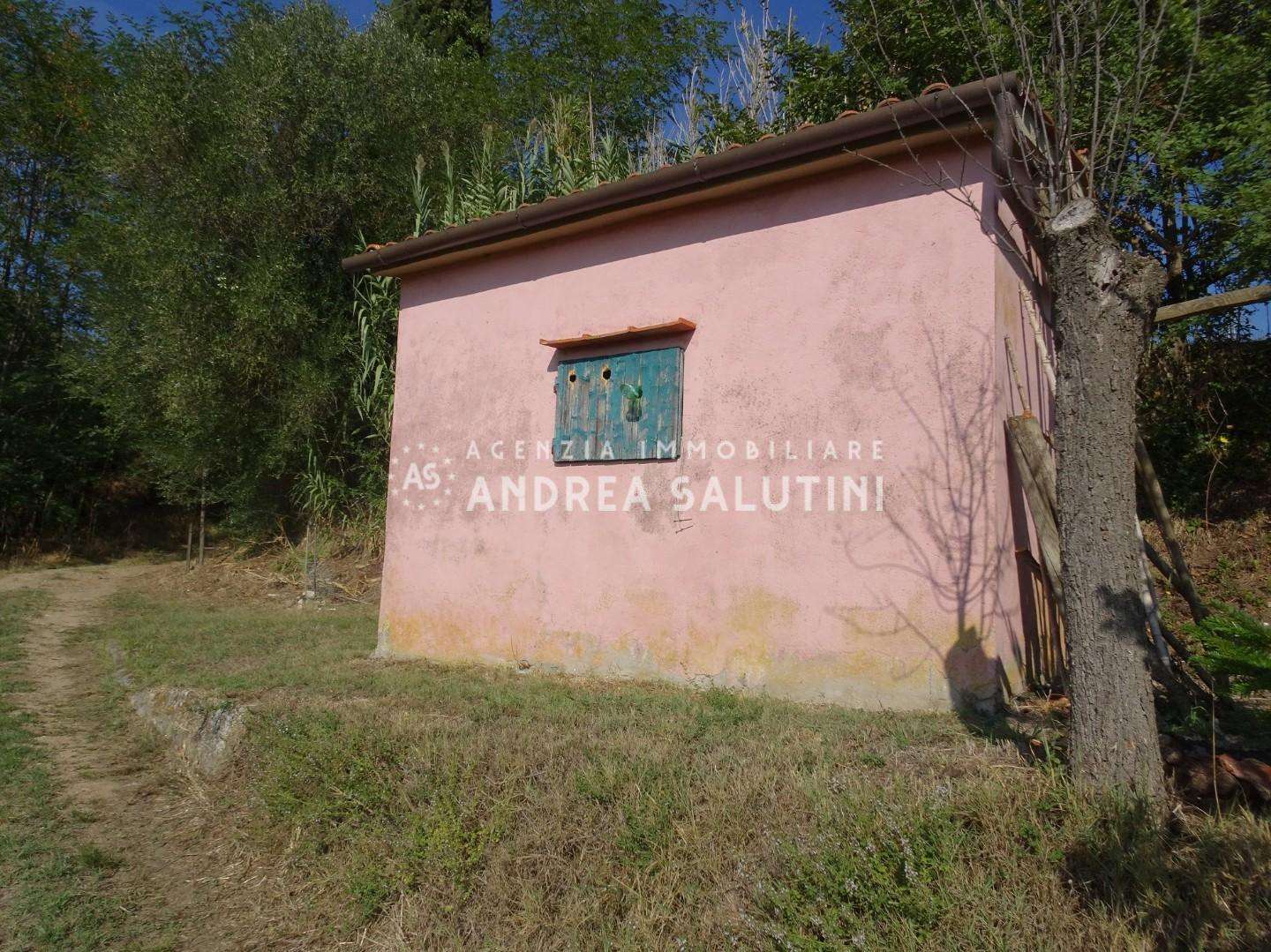 immagine annuncio 7 di 9