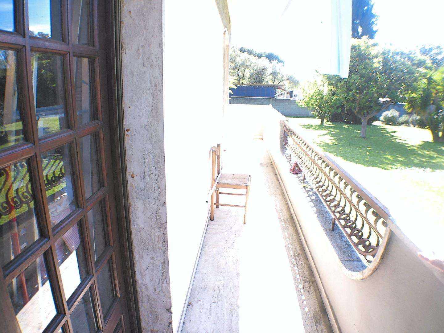  - foto 29