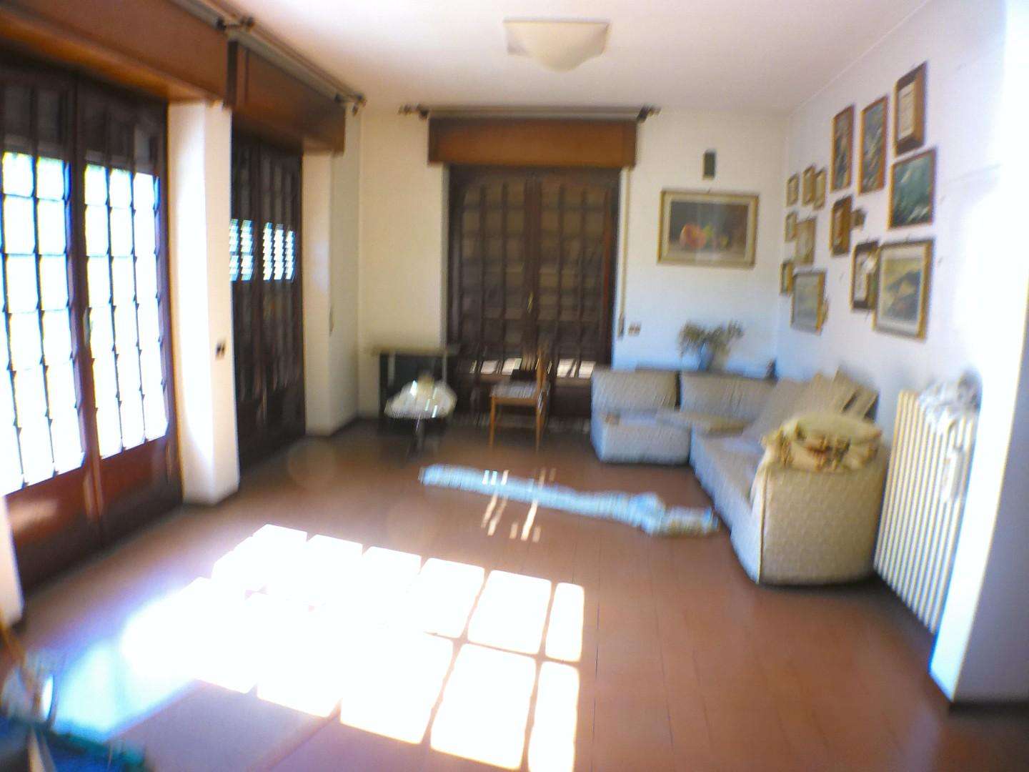  - foto 31