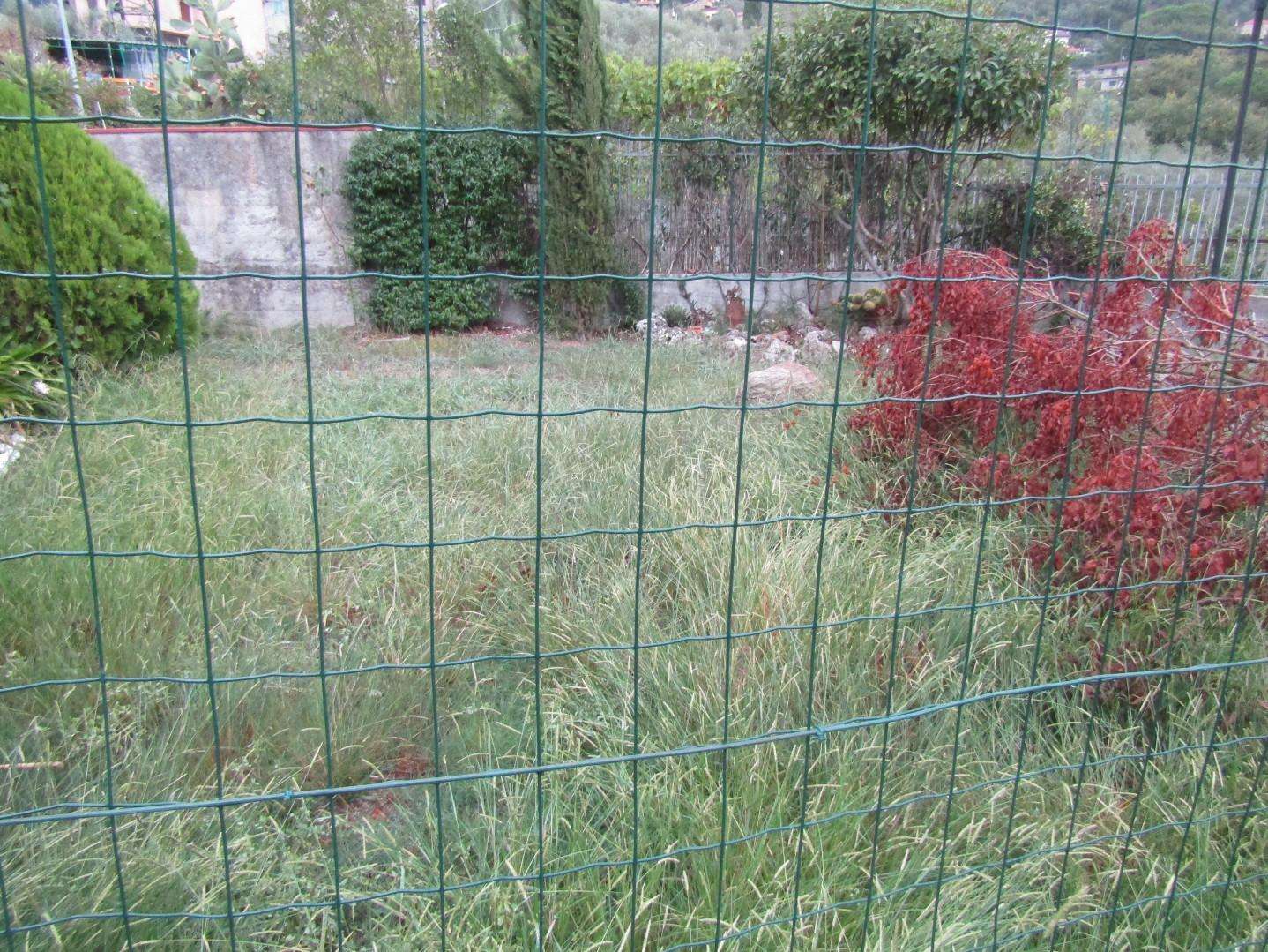 immagine annuncio 4 di 14