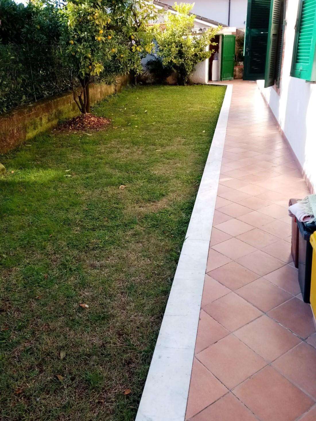  - foto 42