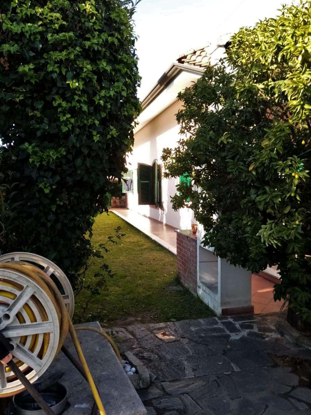  - foto 43