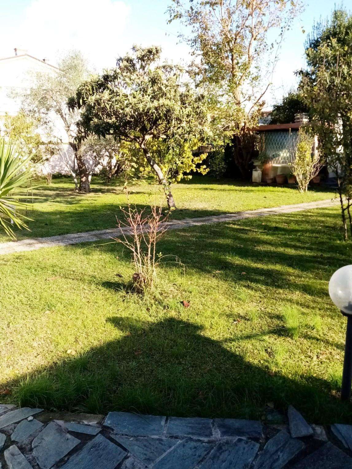  - foto 46
