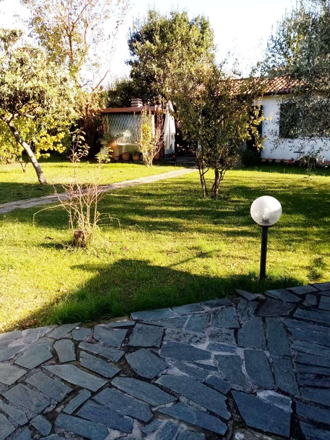  - foto 51