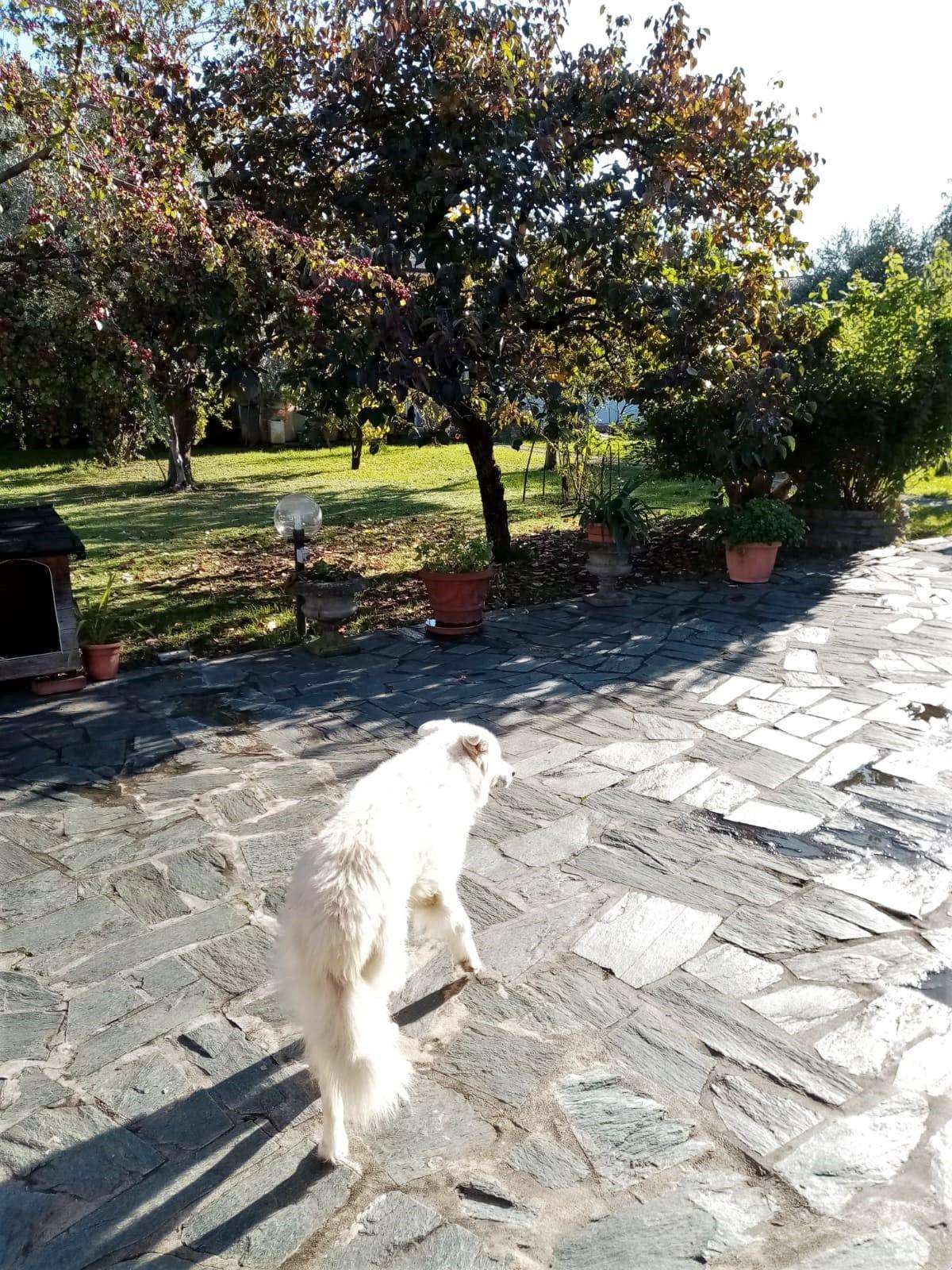  - foto 53