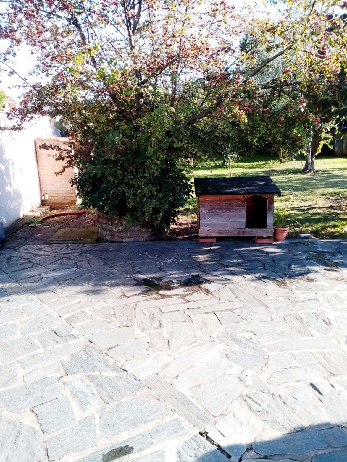  - foto 54