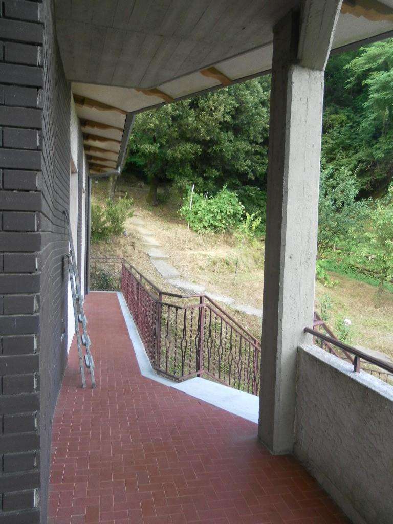  - foto 6