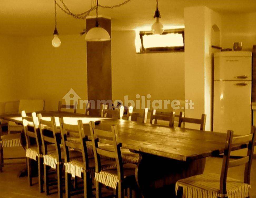 immagine annuncio 12 di 14