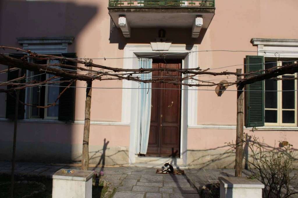  - foto 7
