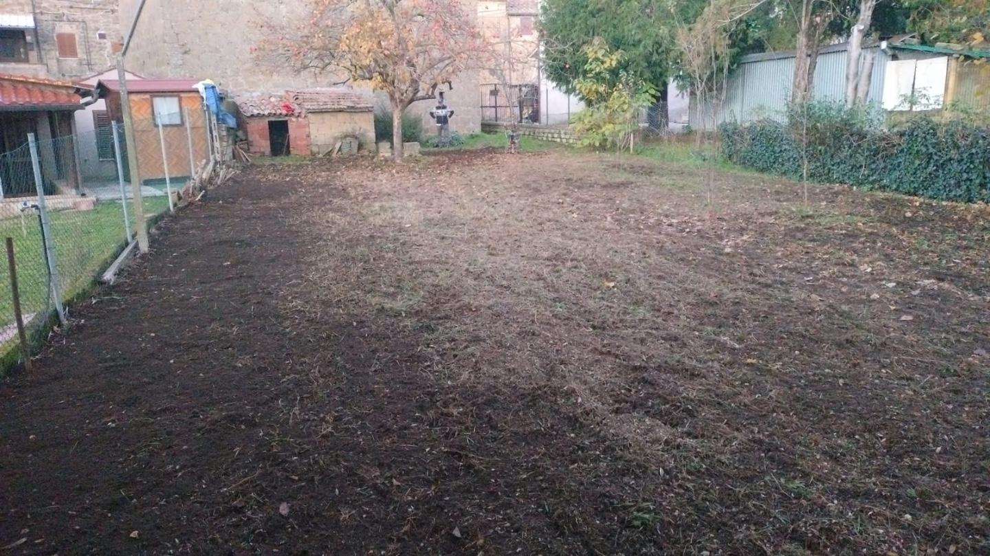  - foto 13