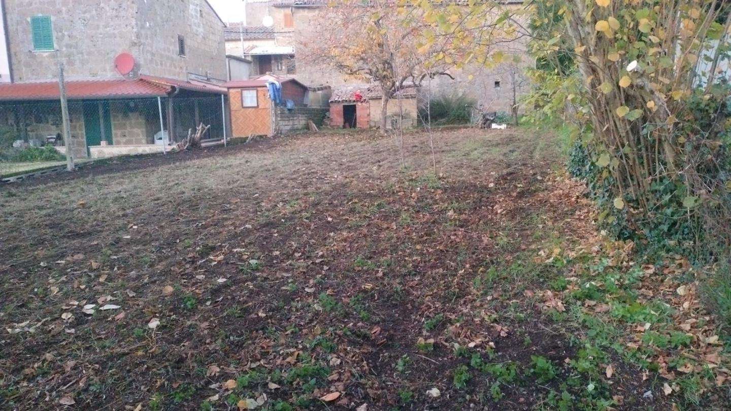  - foto 8