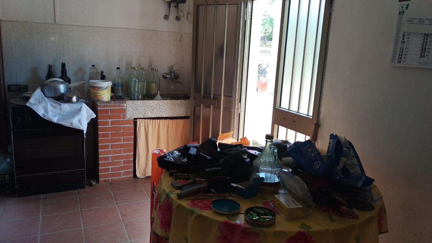 immagine annuncio 9 di 13