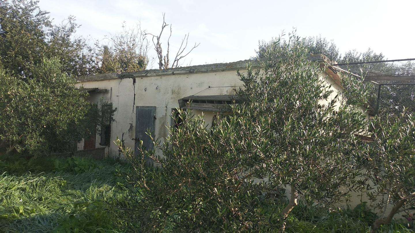  - foto 4