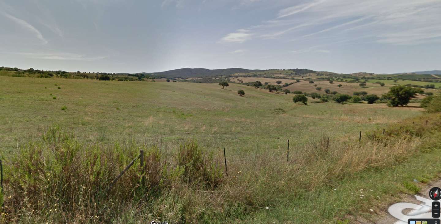 Terreno agricolo in Vendita a Grosseto Poggio Finocchio, 58100