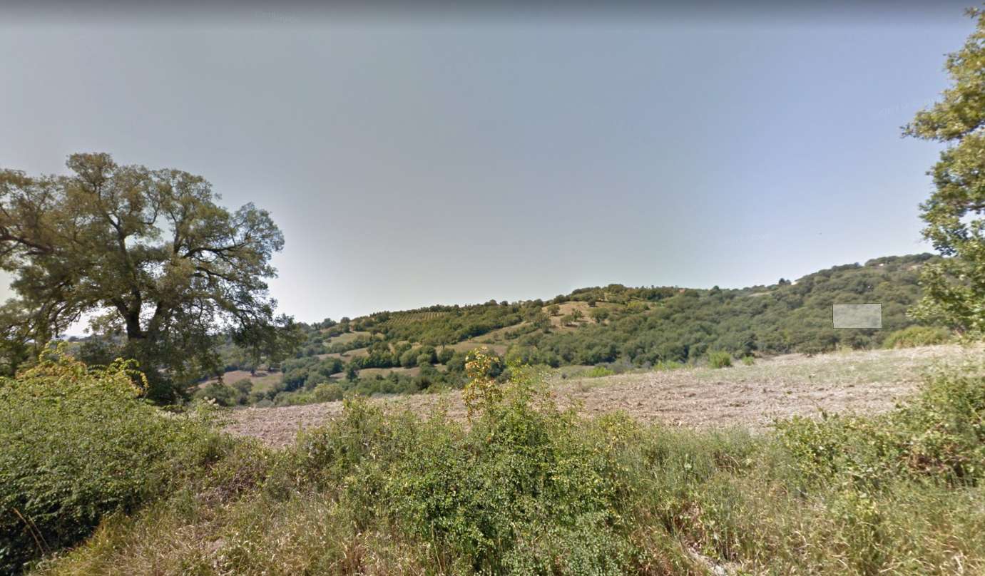Azienda agricola CCHC+ Capalbio GR,, Capalbio