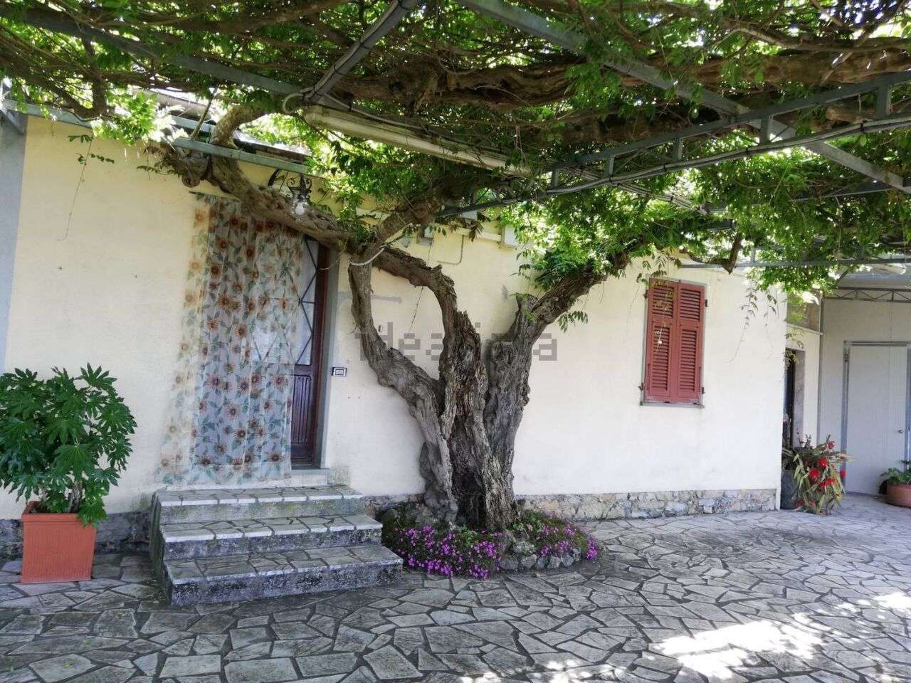  - foto 15