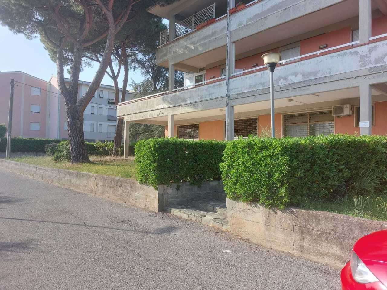 immagine annuncio 1 di 6
