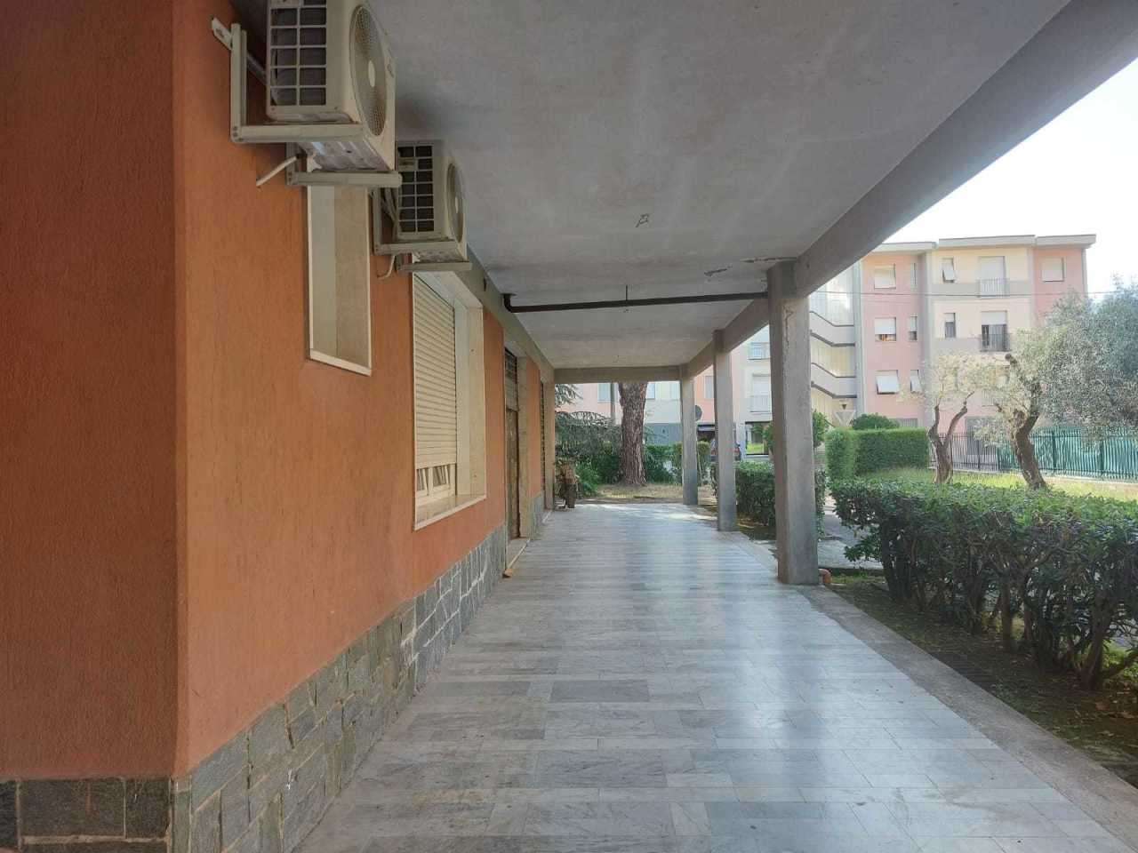 immagine annuncio 2 di 6