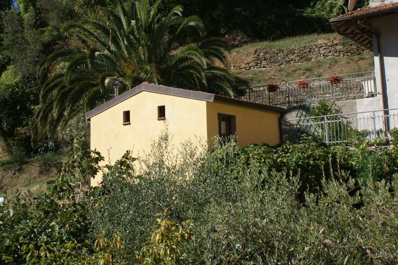  - foto 5