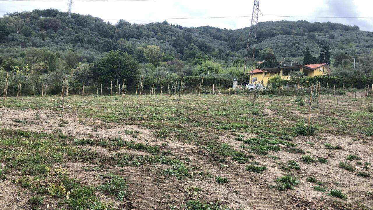  - foto 6