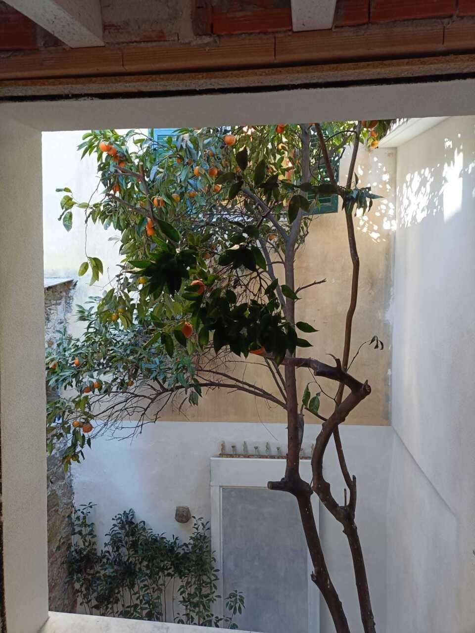  - foto 19
