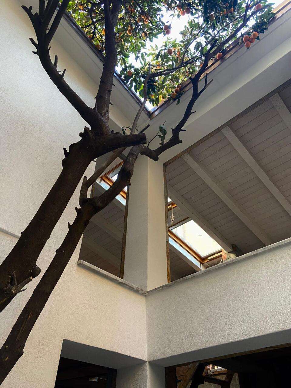  - foto 26
