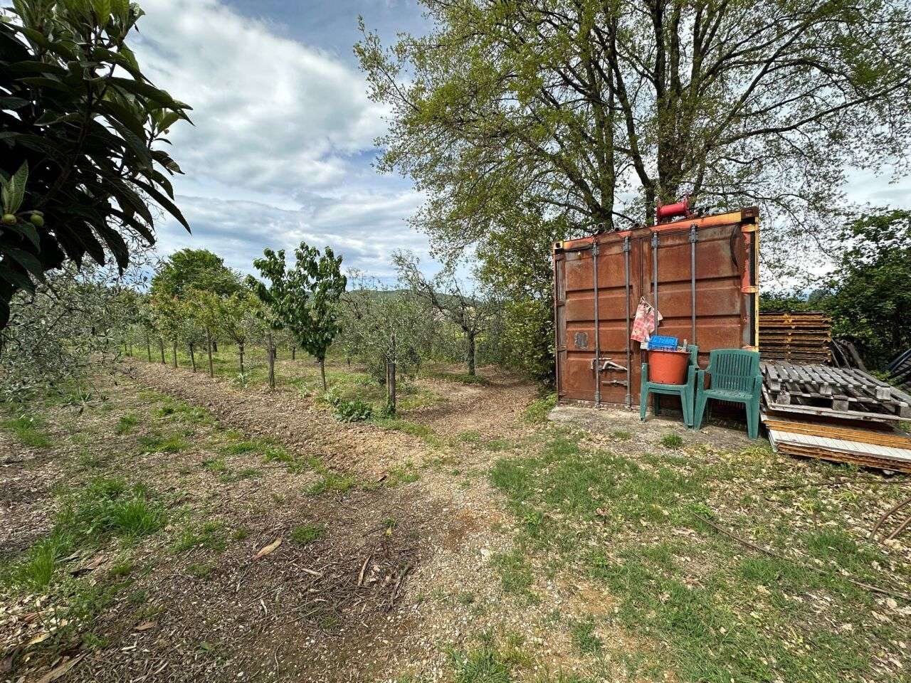 Terreno agricolo, Castelnuovo Magra