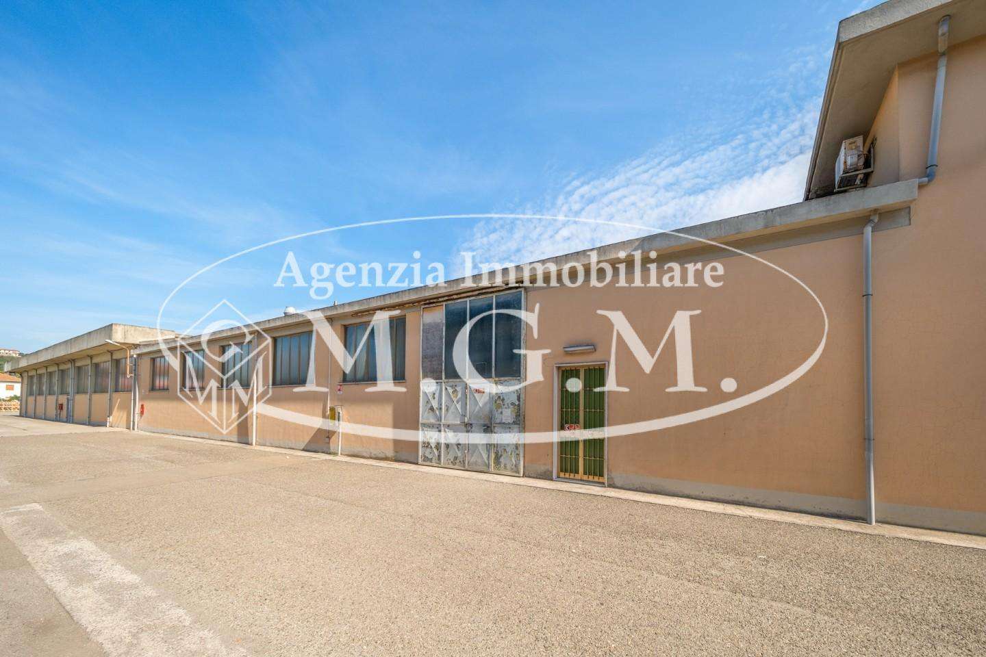 immagine annuncio 3 di 6