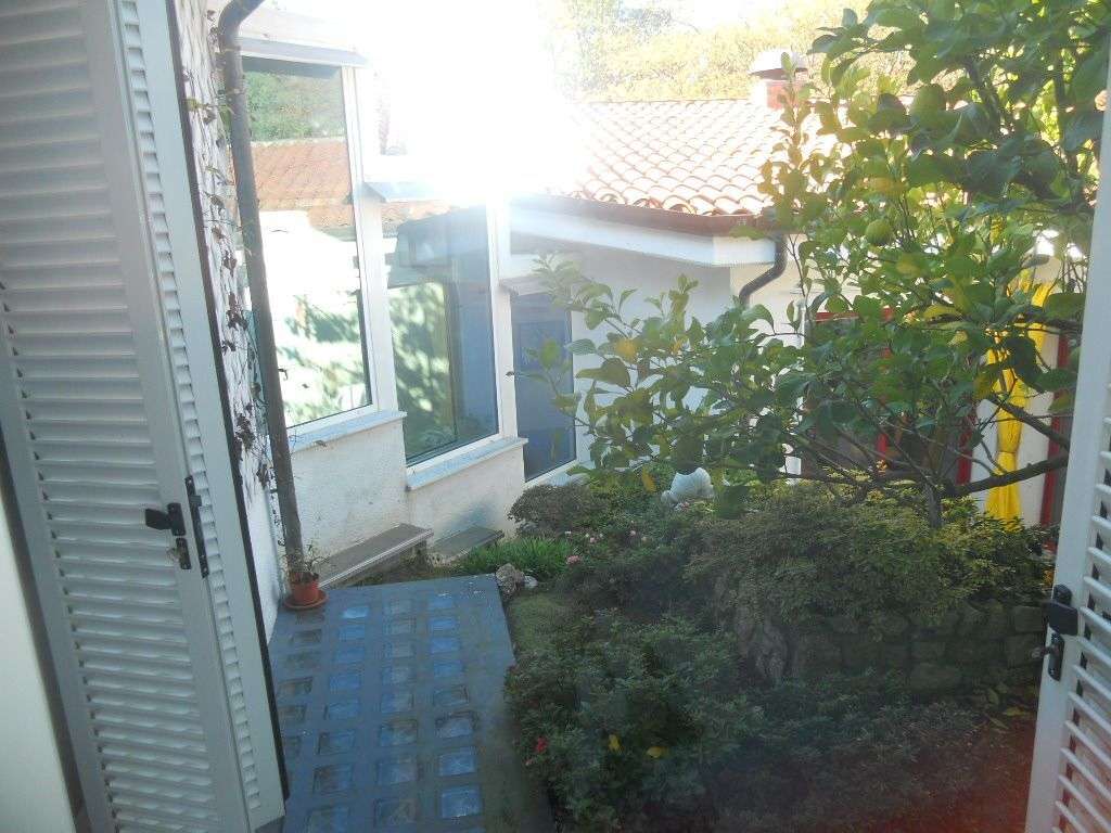  - foto 11