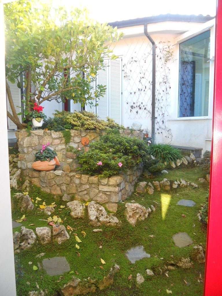  - foto 13