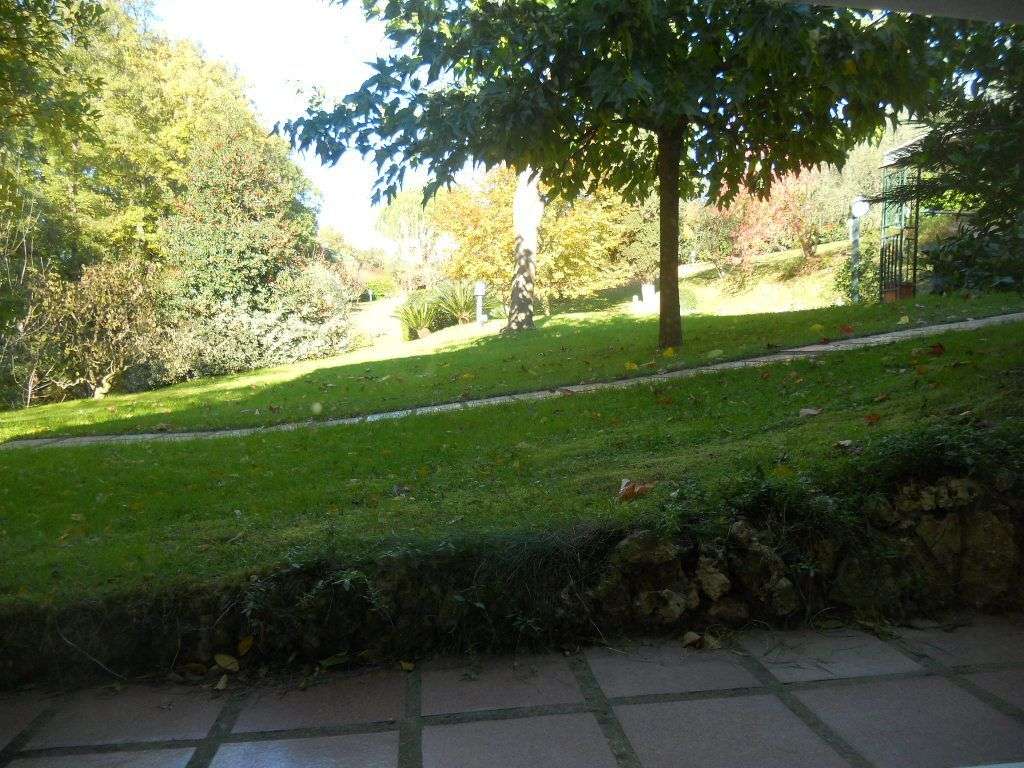  - foto 19