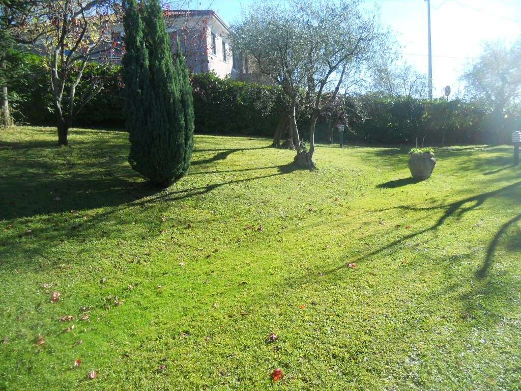  - foto 7
