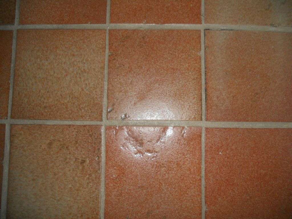  - foto 8