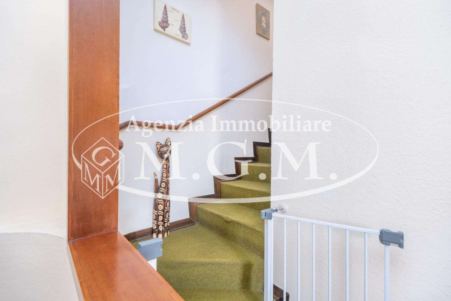  - foto 37