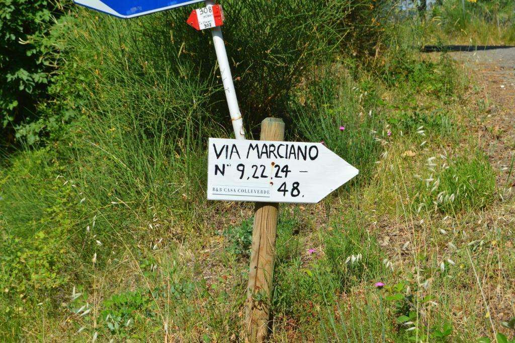  - foto 15