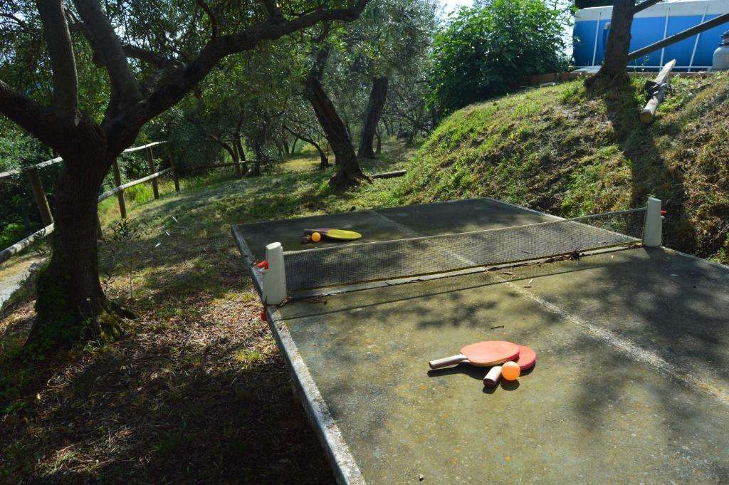  - foto 17