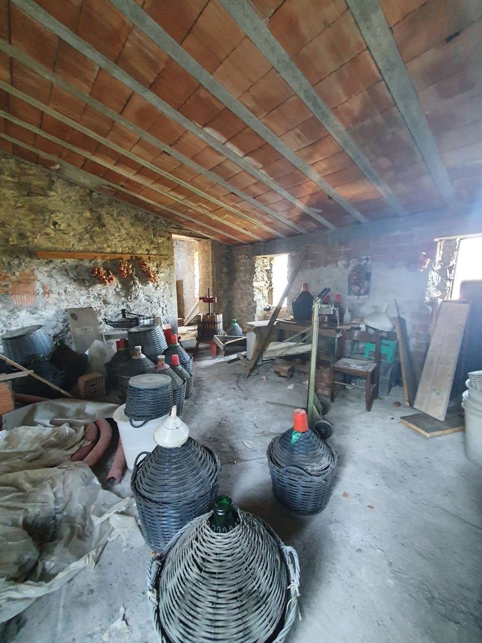 immagine annuncio 1 di 9