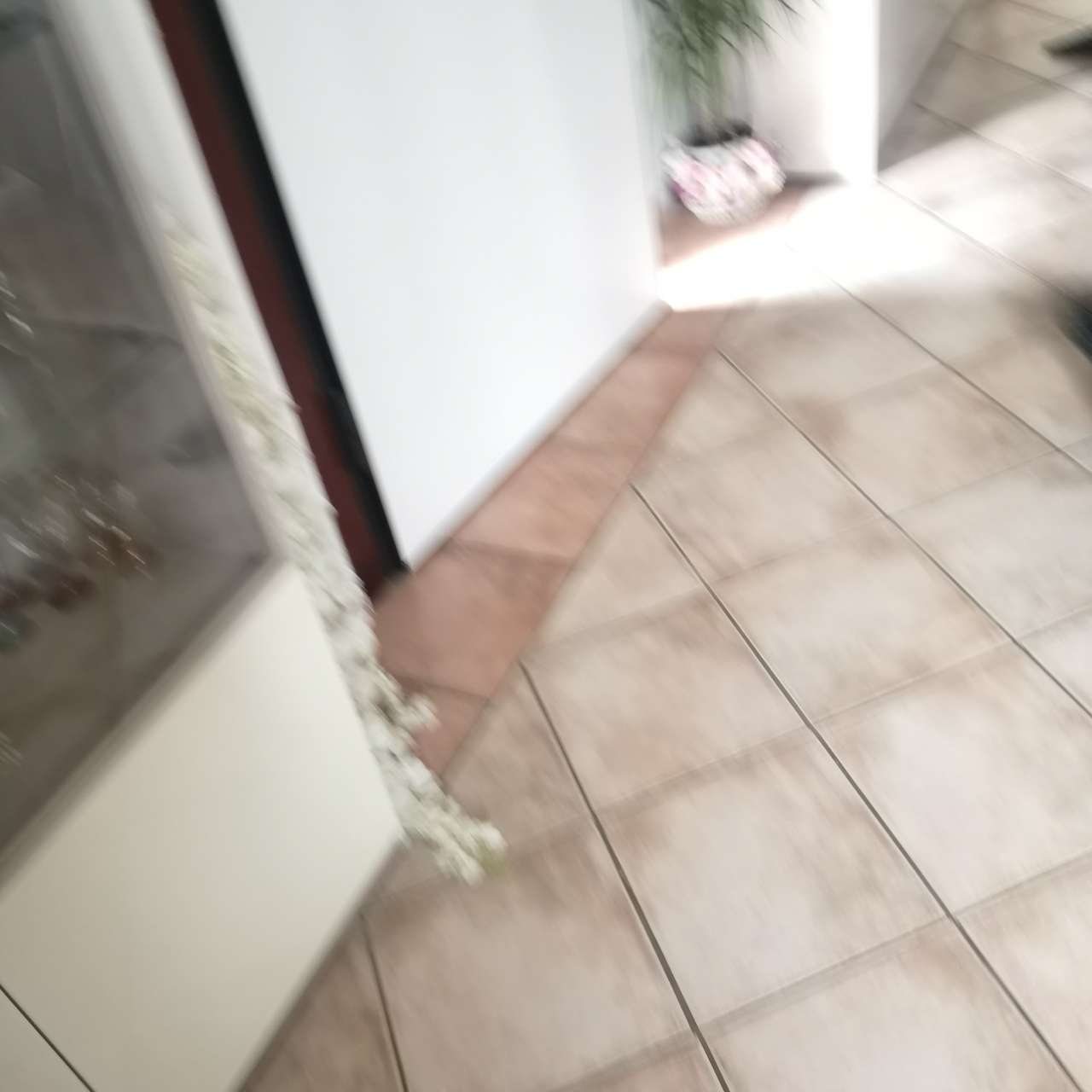  - foto 25