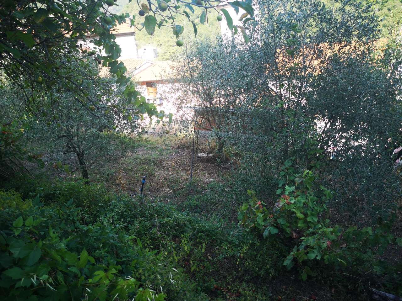 immagine annuncio 4 di 12