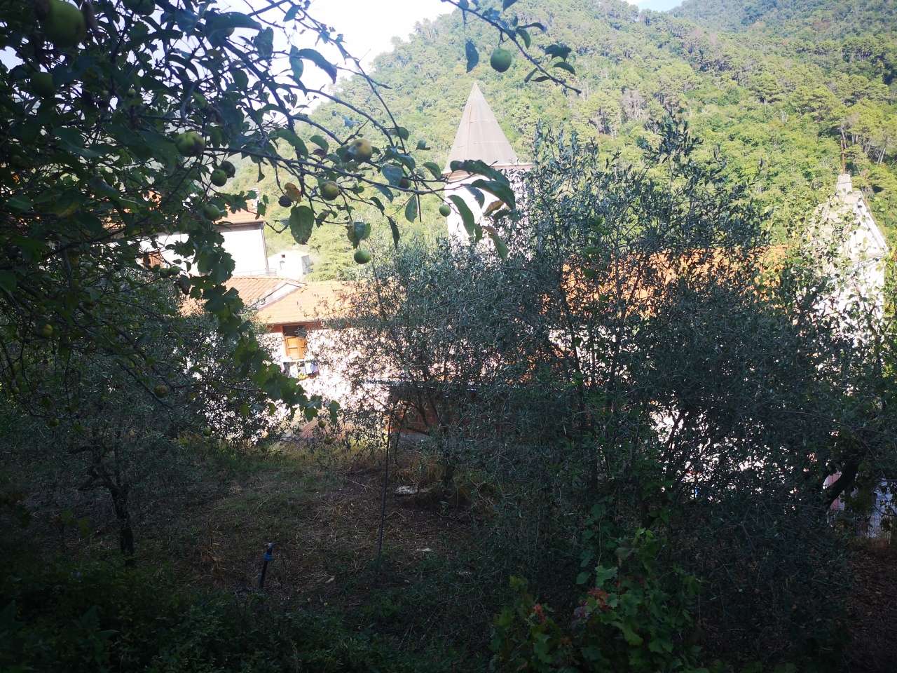 immagine annuncio 8 di 12