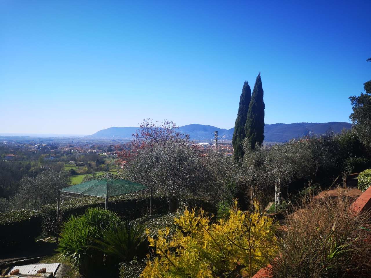  - foto 5