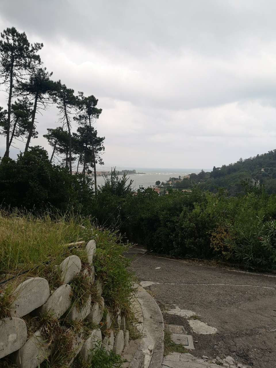  - foto 46
