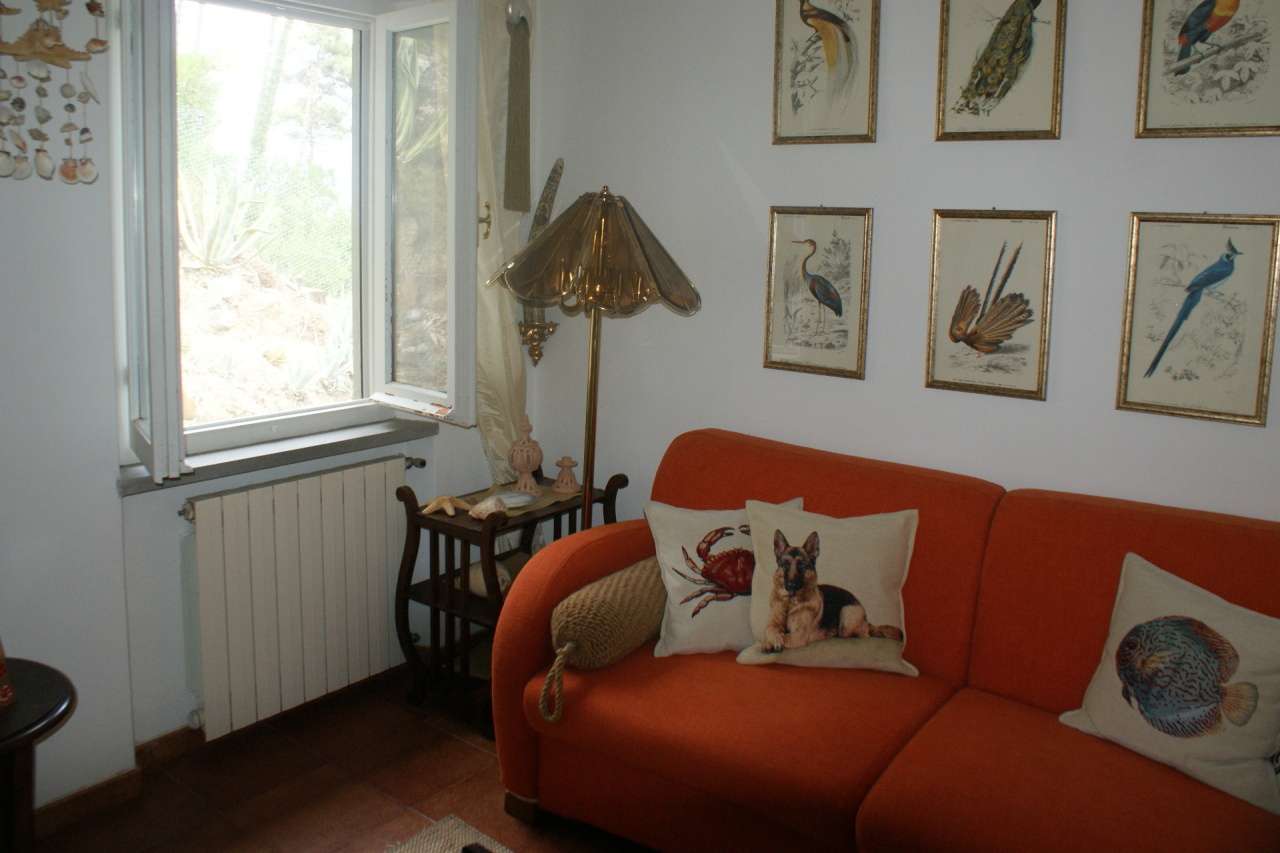  - foto 6