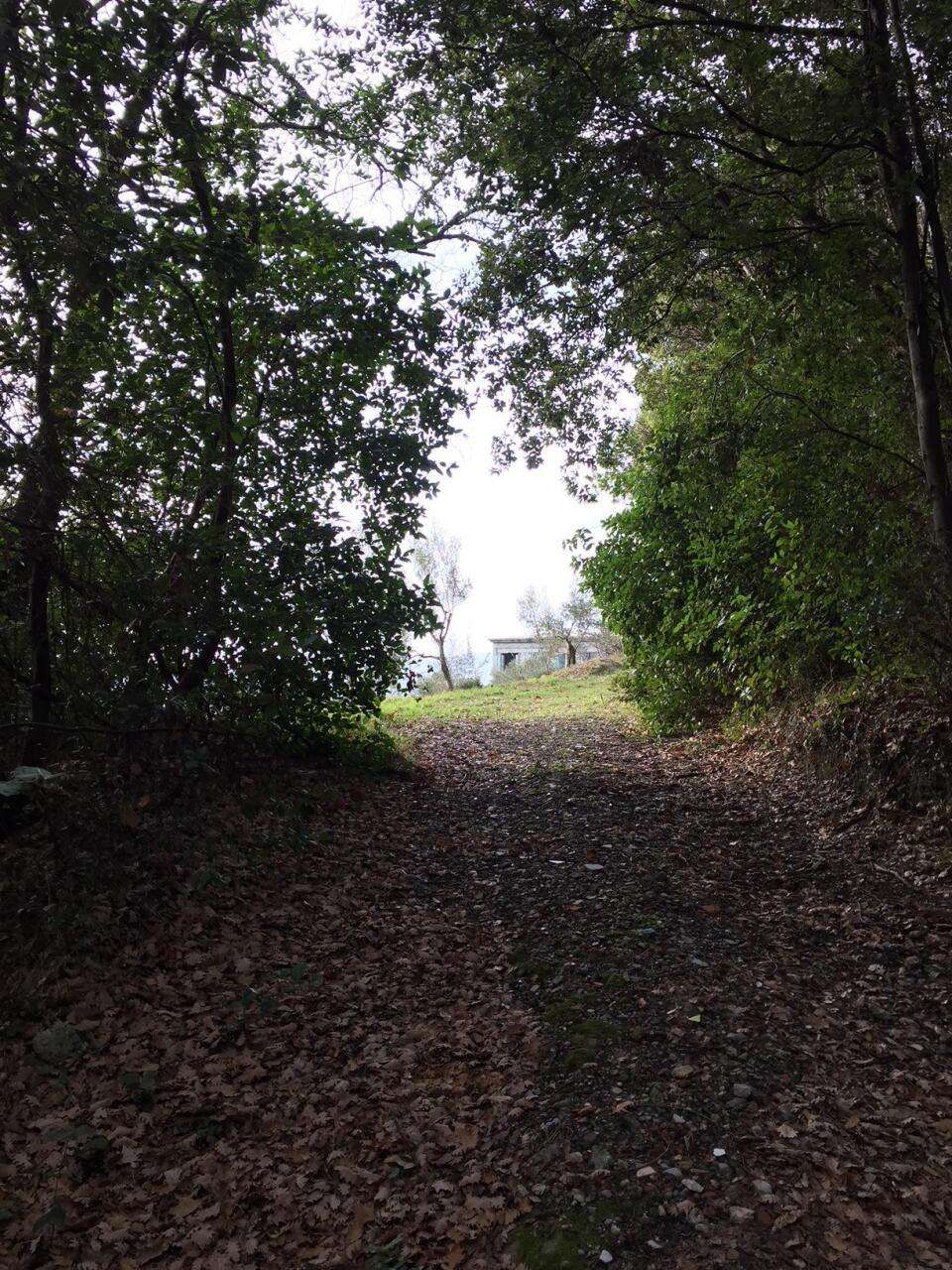  - foto 14