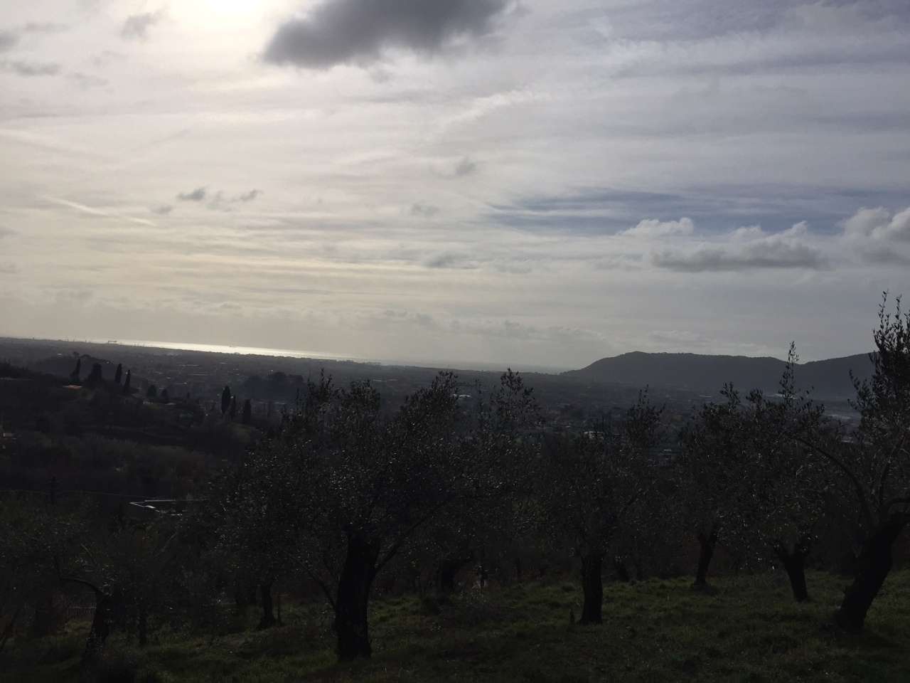  - foto 4