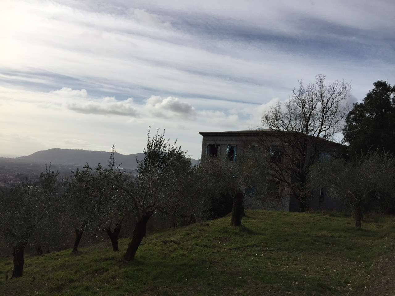  - foto 5
